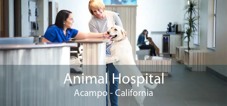 Animal Hospital Acampo - California