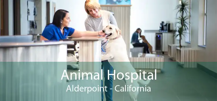 Animal Hospital Alderpoint - California