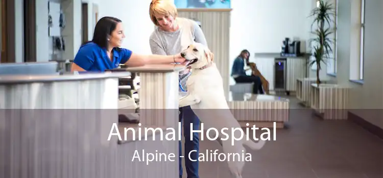 Animal Hospital Alpine - California