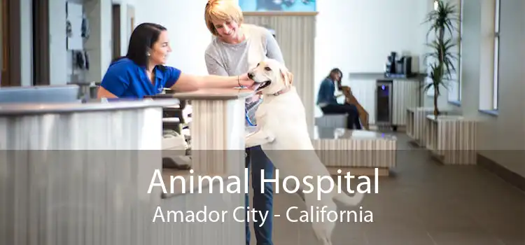 Animal Hospital Amador City - California