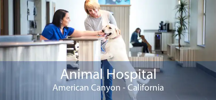 Animal Hospital American Canyon - California