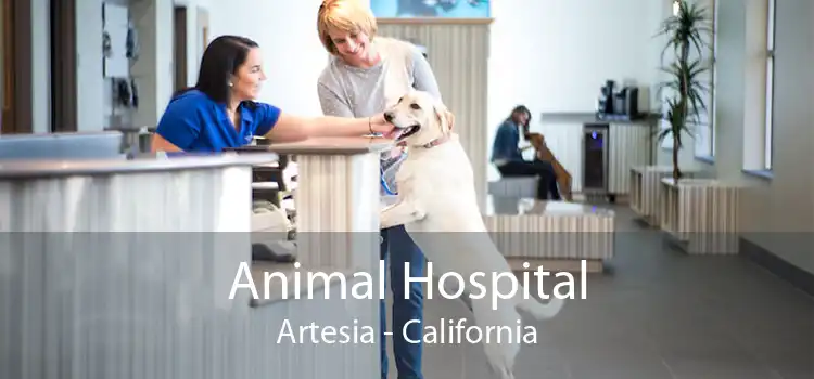 Animal Hospital Artesia - California
