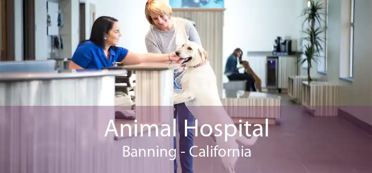 Animal Hospital Banning - California