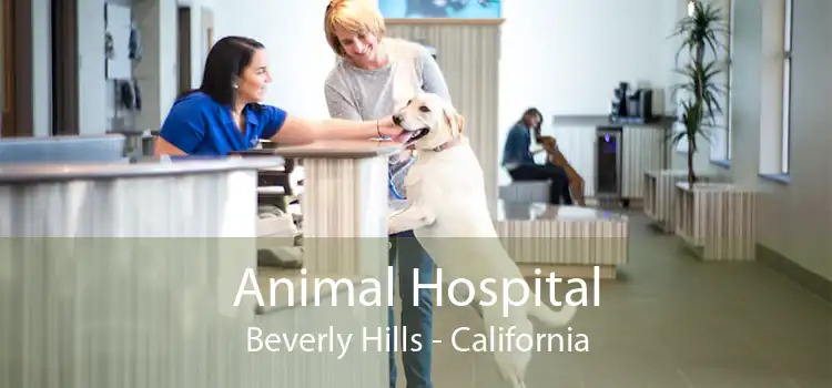 Animal Hospital Beverly Hills - California