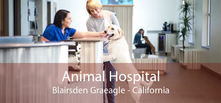 Animal Hospital Blairsden Graeagle - California