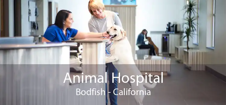 Animal Hospital Bodfish - California