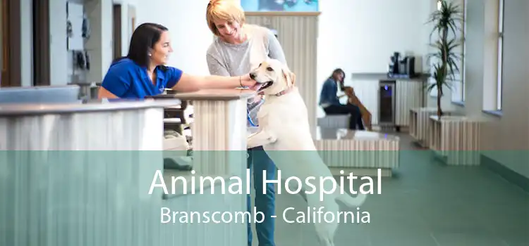 Animal Hospital Branscomb - California