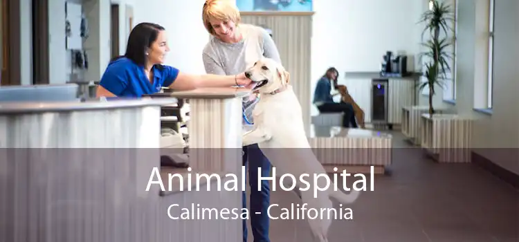 Animal Hospital Calimesa - California