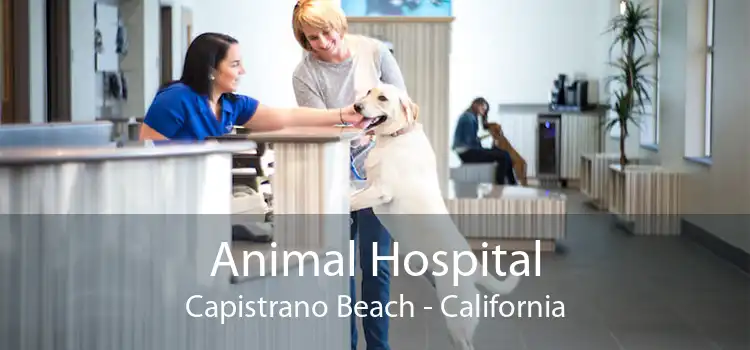 Animal Hospital Capistrano Beach - California