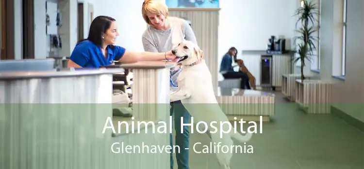 Animal Hospital Glenhaven - California