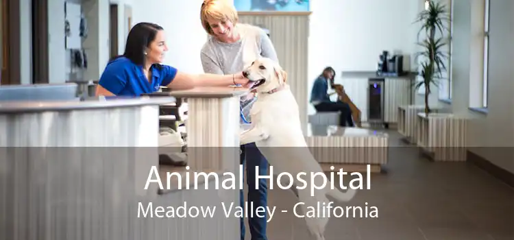 Animal Hospital Meadow Valley - California