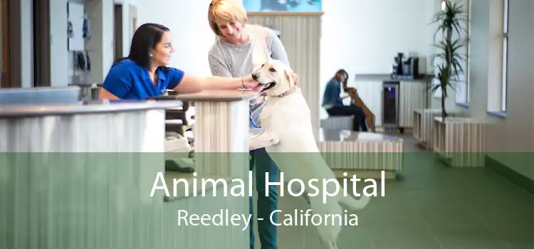 Animal Hospital Reedley - California