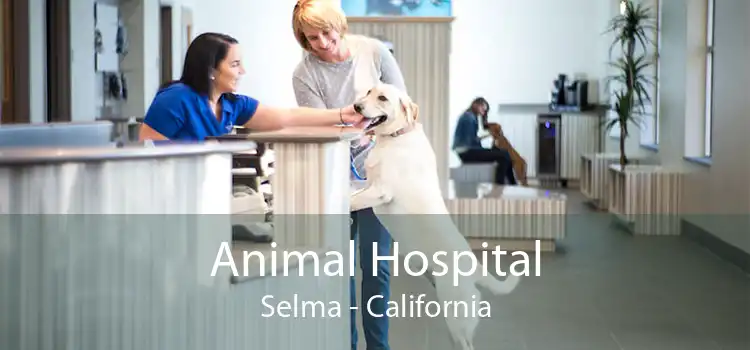 Animal Hospital Selma - California