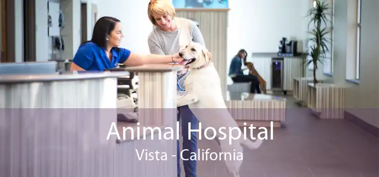 Animal Hospital Vista - California