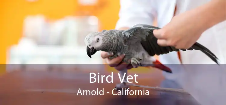 Bird Vet Arnold - California