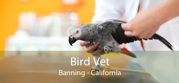 Bird Vet Banning - California