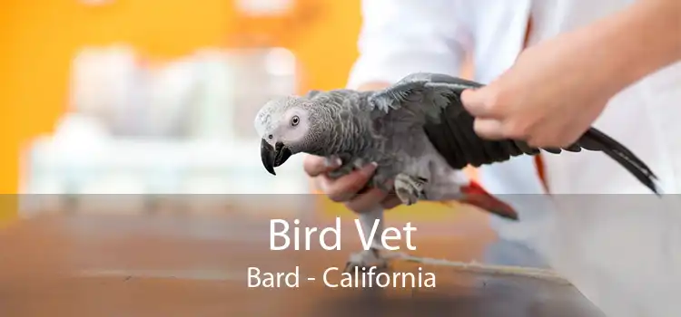 Bird Vet Bard - California