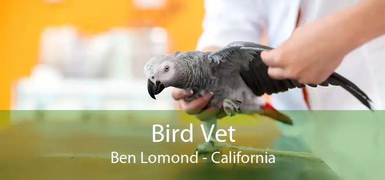 Bird Vet Ben Lomond - California