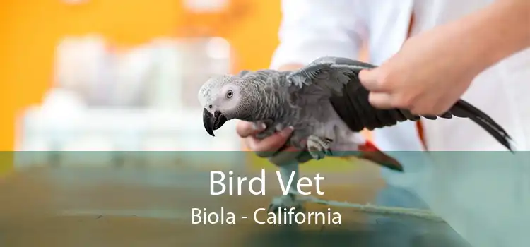 Bird Vet Biola - California