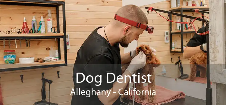 Dog Dentist Alleghany - California