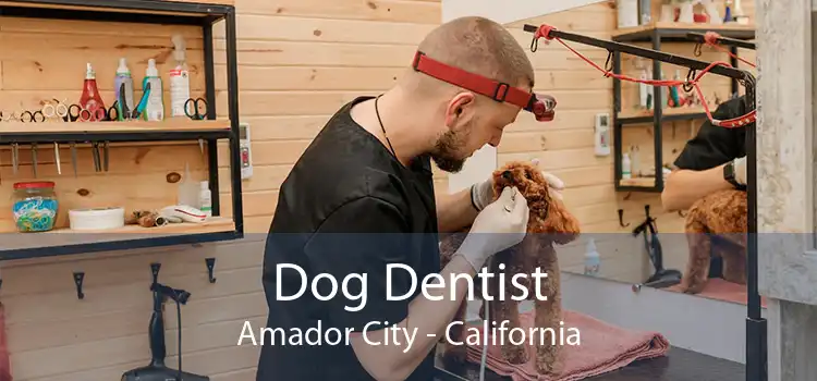 Dog Dentist Amador City - California