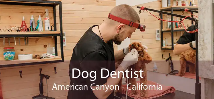 Dog Dentist American Canyon - California