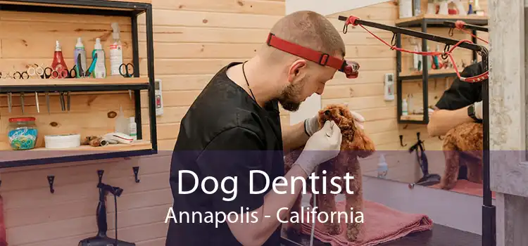 Dog Dentist Annapolis - California