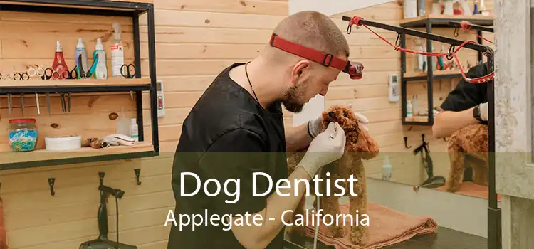 Dog Dentist Applegate - California