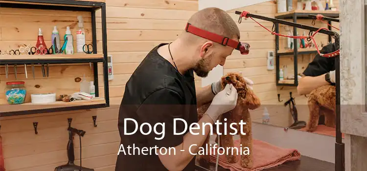 Dog Dentist Atherton - California
