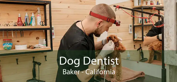 Dog Dentist Baker - California