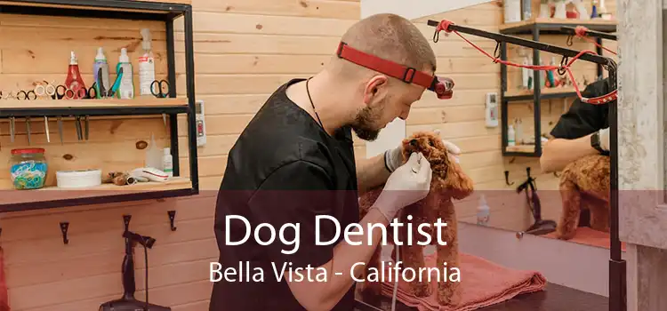 Dog Dentist Bella Vista - California