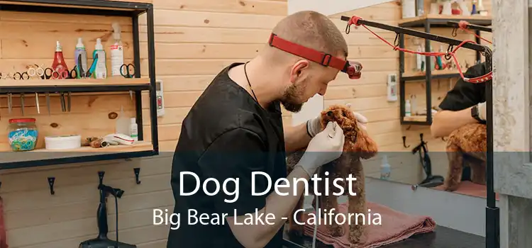 Dog Dentist Big Bear Lake - California