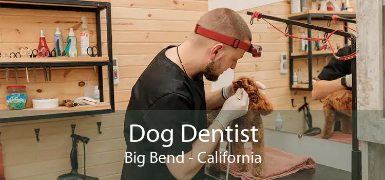 Dog Dentist Big Bend - California