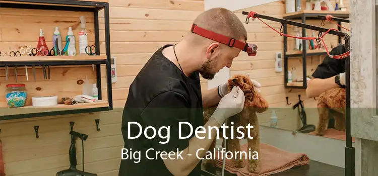 Dog Dentist Big Creek - California