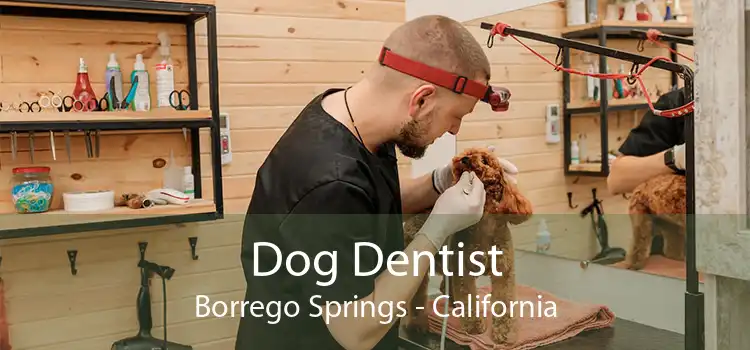 Dog Dentist Borrego Springs - California
