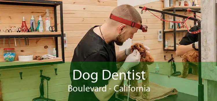 Dog Dentist Boulevard - California
