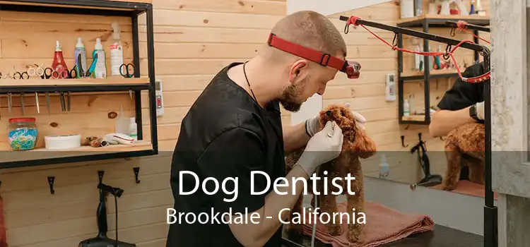 Dog Dentist Brookdale - California