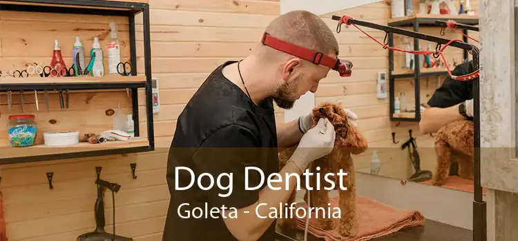 Dog Dentist Goleta - California
