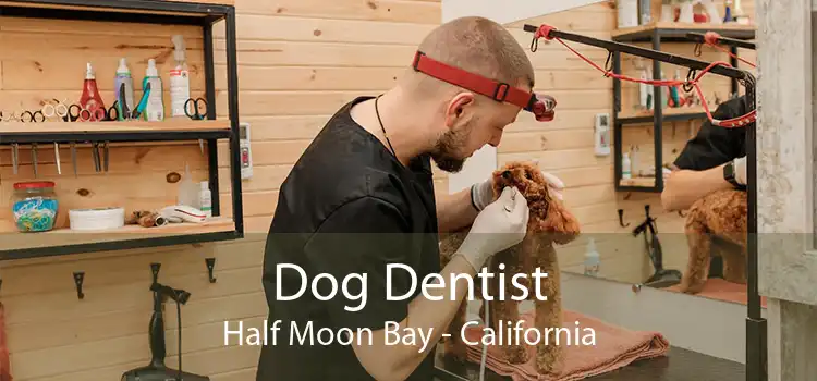 Dog Dentist Half Moon Bay - California