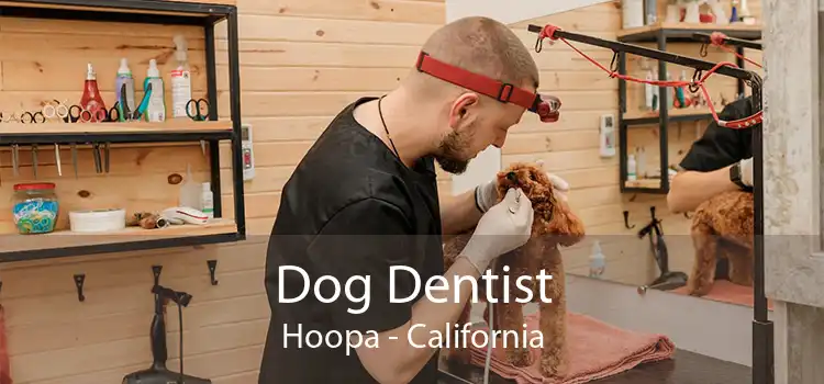 Dog Dentist Hoopa - California
