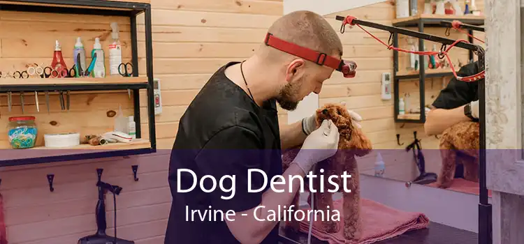 Dog Dentist Irvine - California