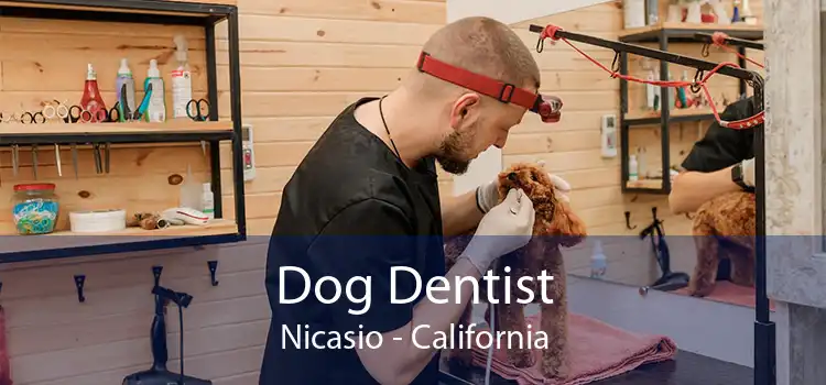 Dog Dentist Nicasio - California