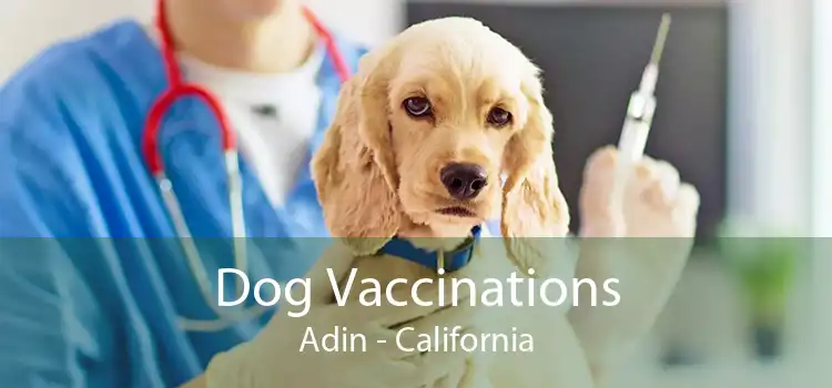 Dog Vaccinations Adin - California