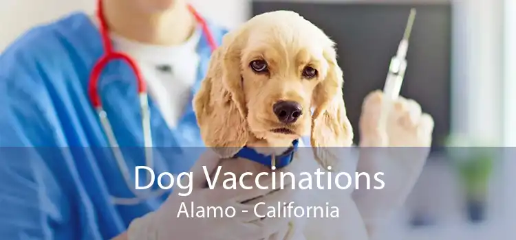 Dog Vaccinations Alamo - California