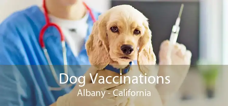 Dog Vaccinations Albany - California