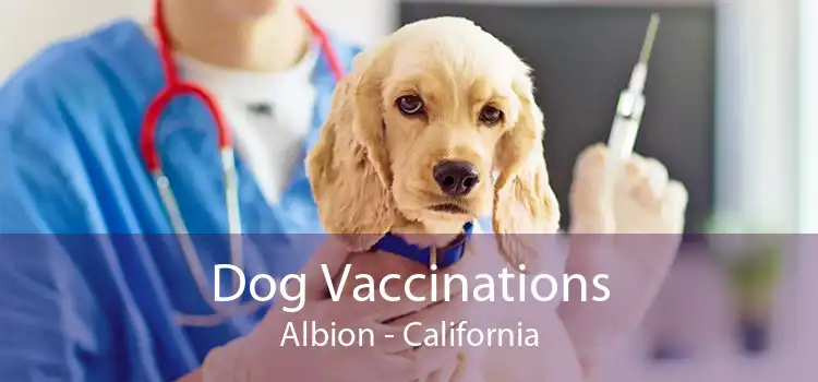 Dog Vaccinations Albion - California