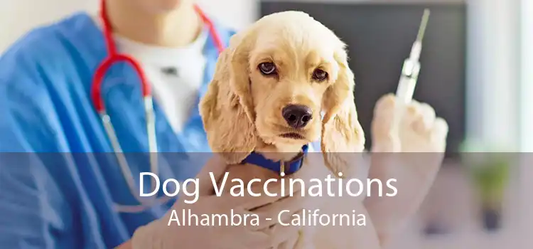 Dog Vaccinations Alhambra - California