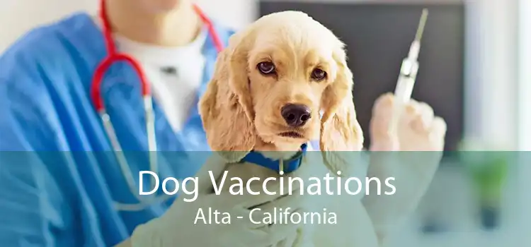 Dog Vaccinations Alta - California