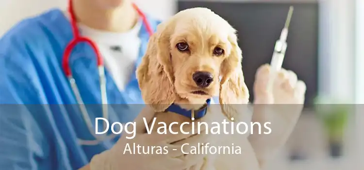 Dog Vaccinations Alturas - California