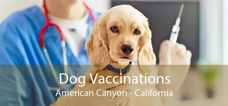 Dog Vaccinations American Canyon - California